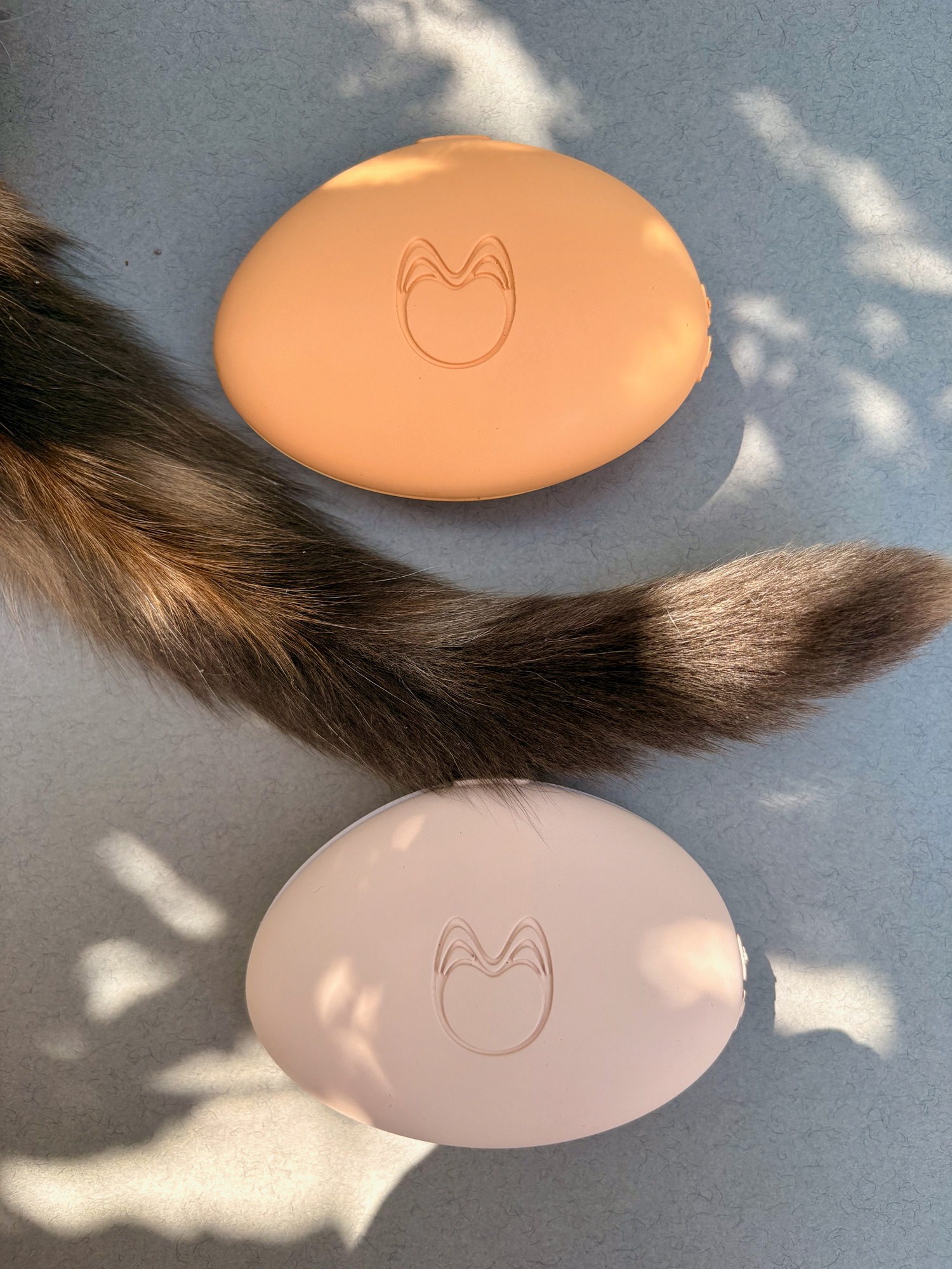 Gemma’s cat Lou Lou with Purrwave prototypes in two colorways.