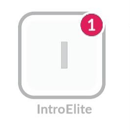 A logo for a company called Introelite.