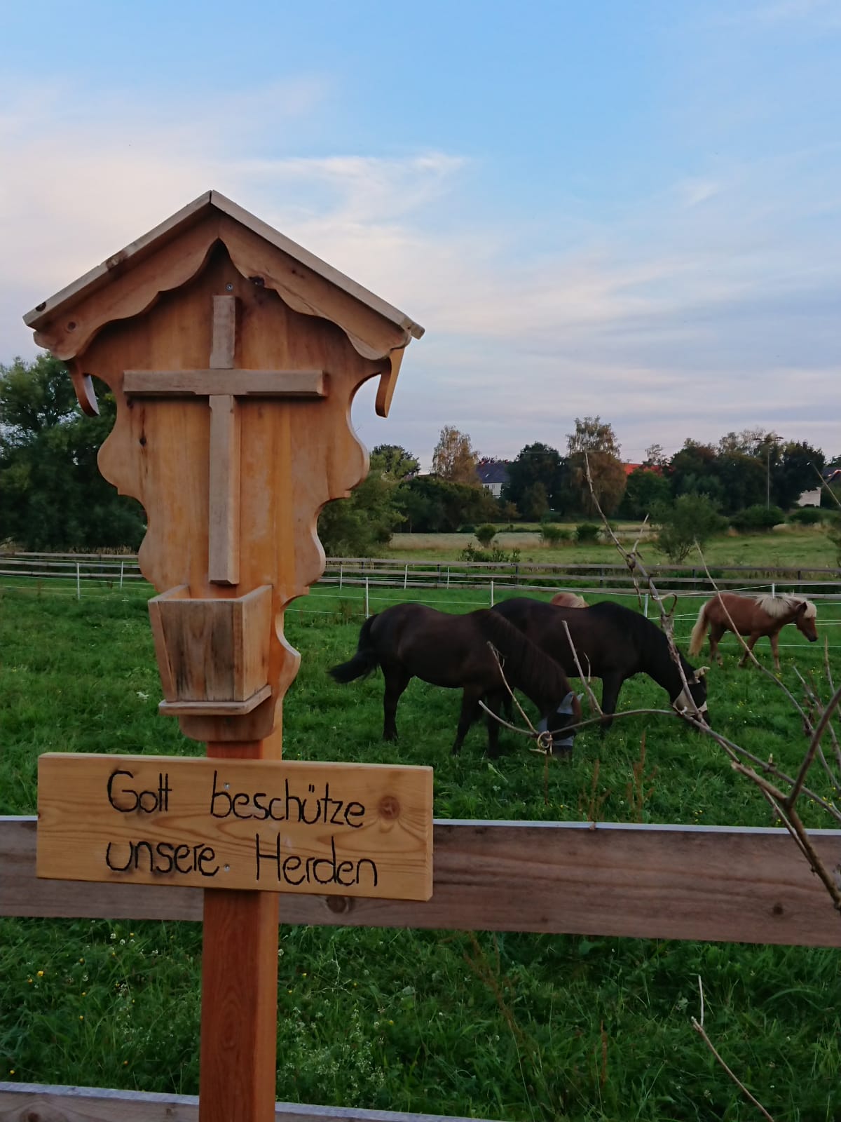 Mit Pferden gegen Angst und Verlust