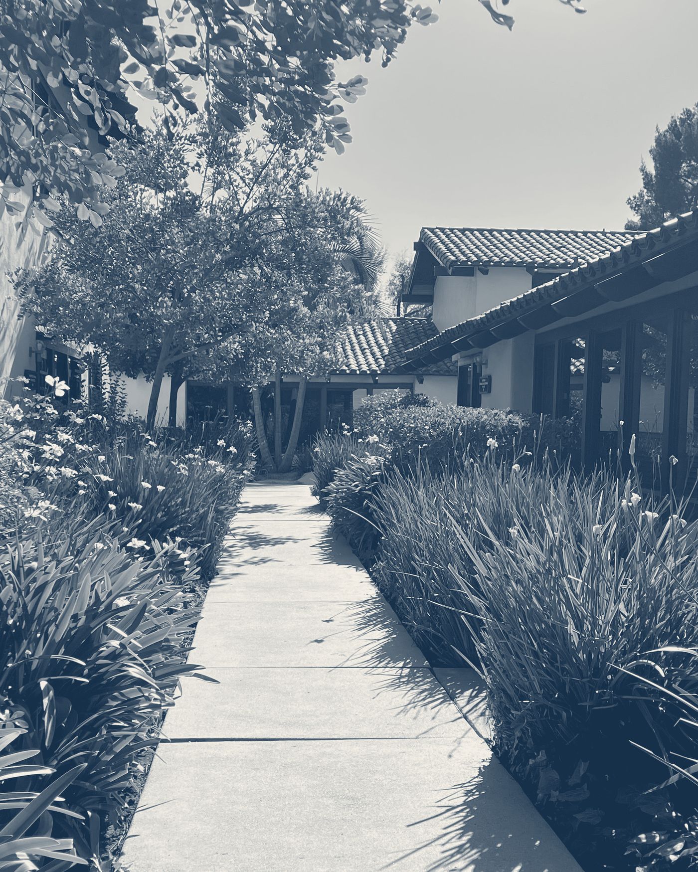 The walkway to the Lindero Health office, in a Lindero Blue duotone