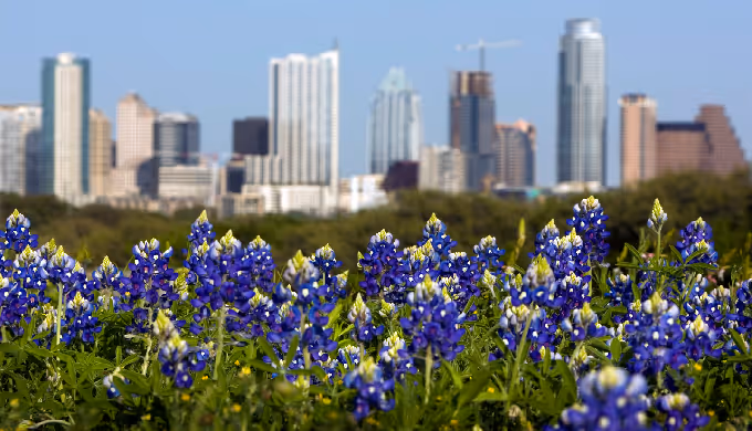 best roofing company in austin