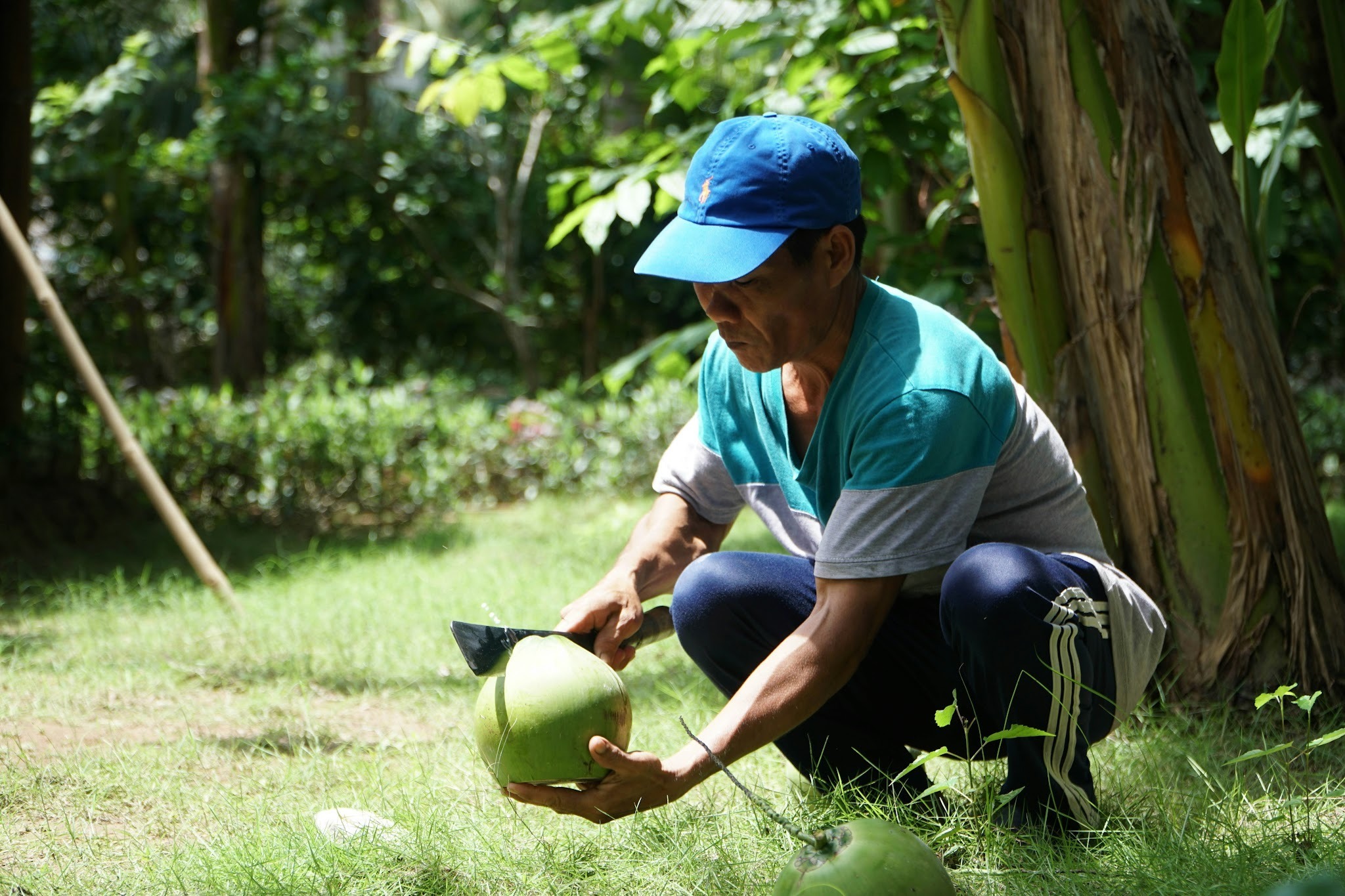 Refreshing coconut water for golfers