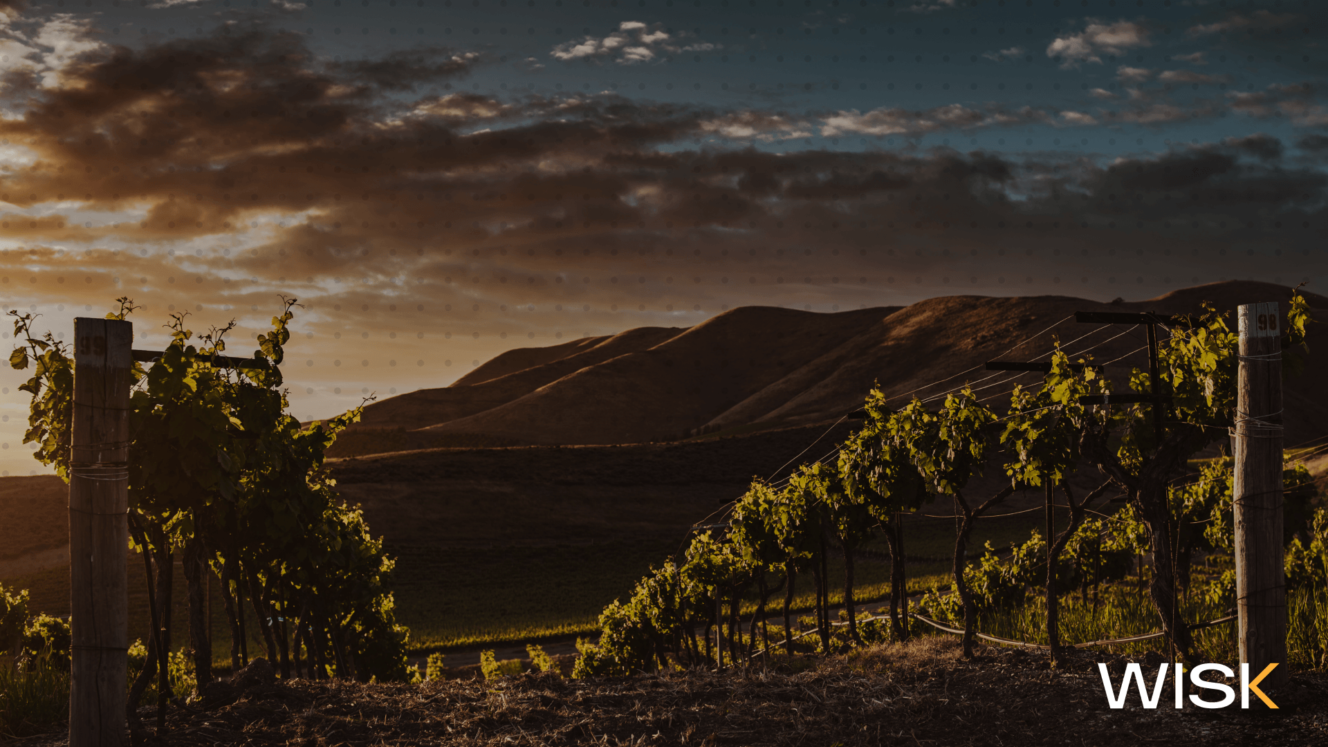 What Are the Top 10 Wine Regions Your Restaurant Menu Needs Right Now to Maximize Profit?