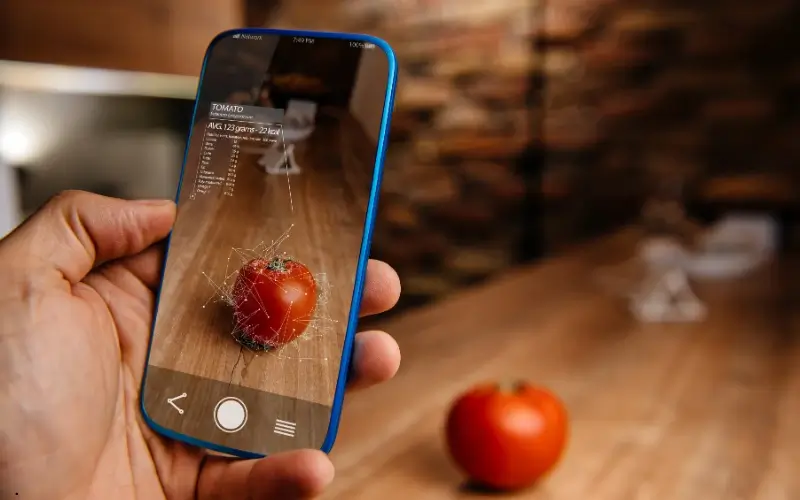 Smartphone displaying augmented reality data overlay on a tomato.