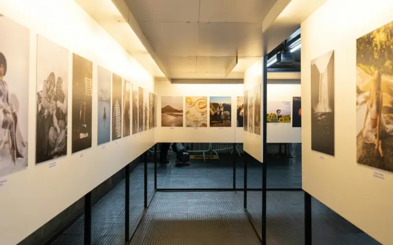 Virtual-style art and museum exhibition with framed artworks displayed in a gallery-like layout.