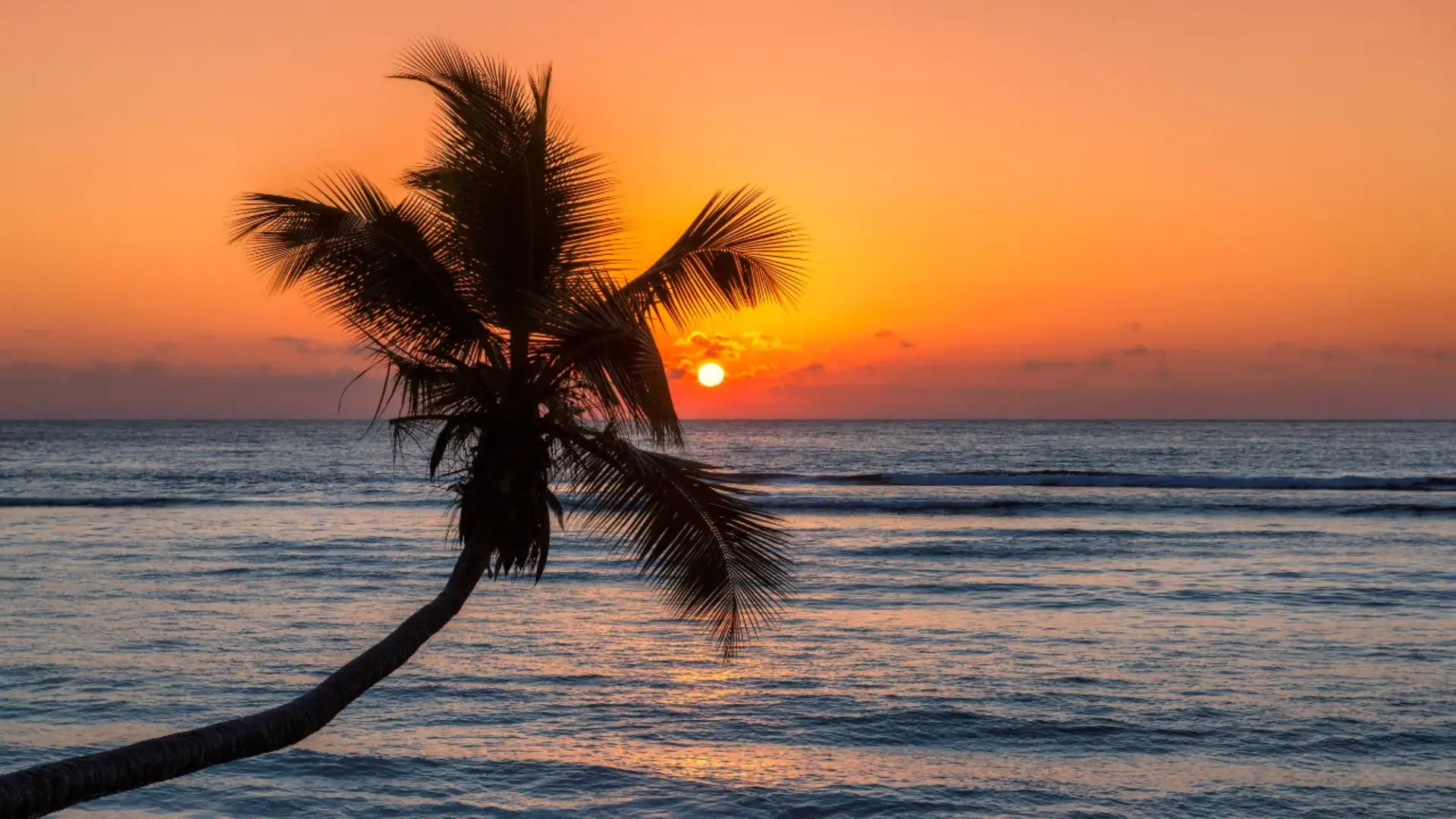 Tropical sunset over the ocean, representing experiential virtual swag bag ideas that focus on relaxation and emotional connection.