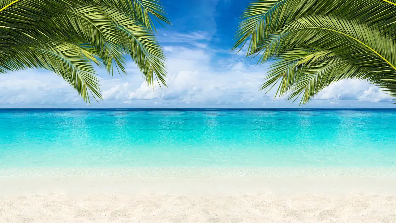 Virtual Background for Summer