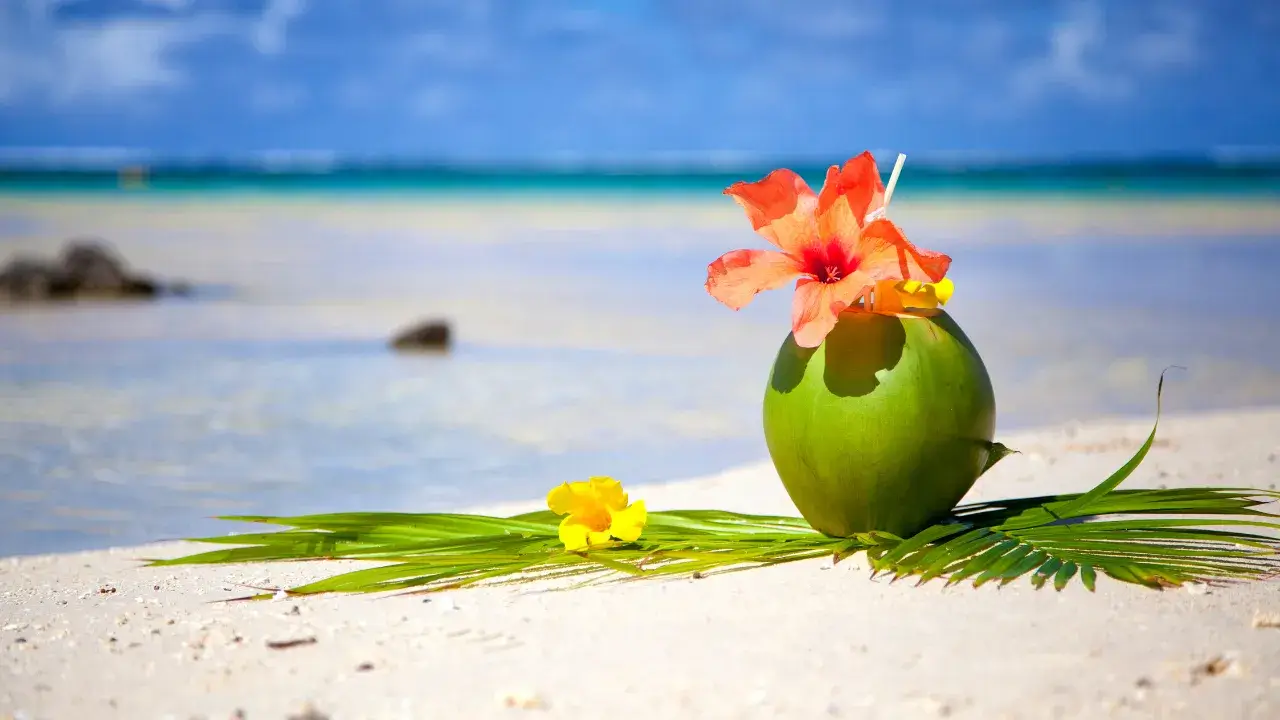 Beach and Vacation Virtual Background
