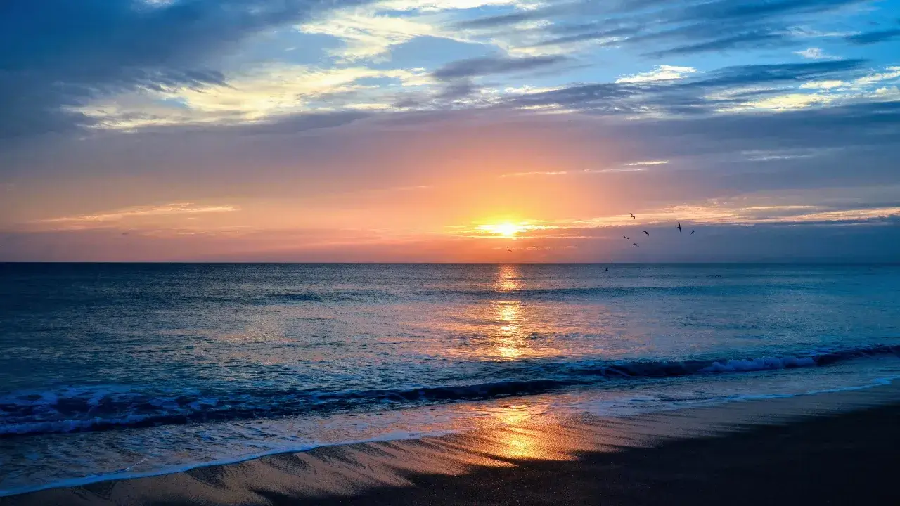 Beach and Vacation Virtual Background