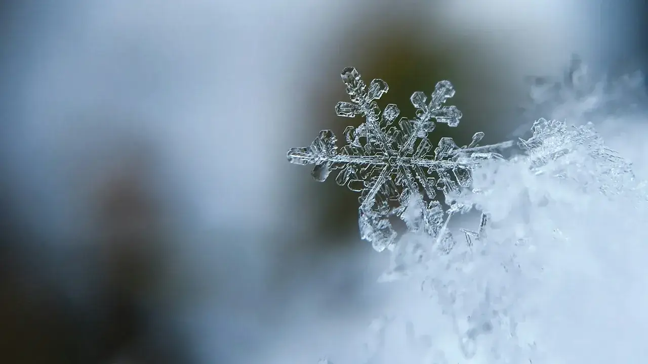 Winter Virtual Background