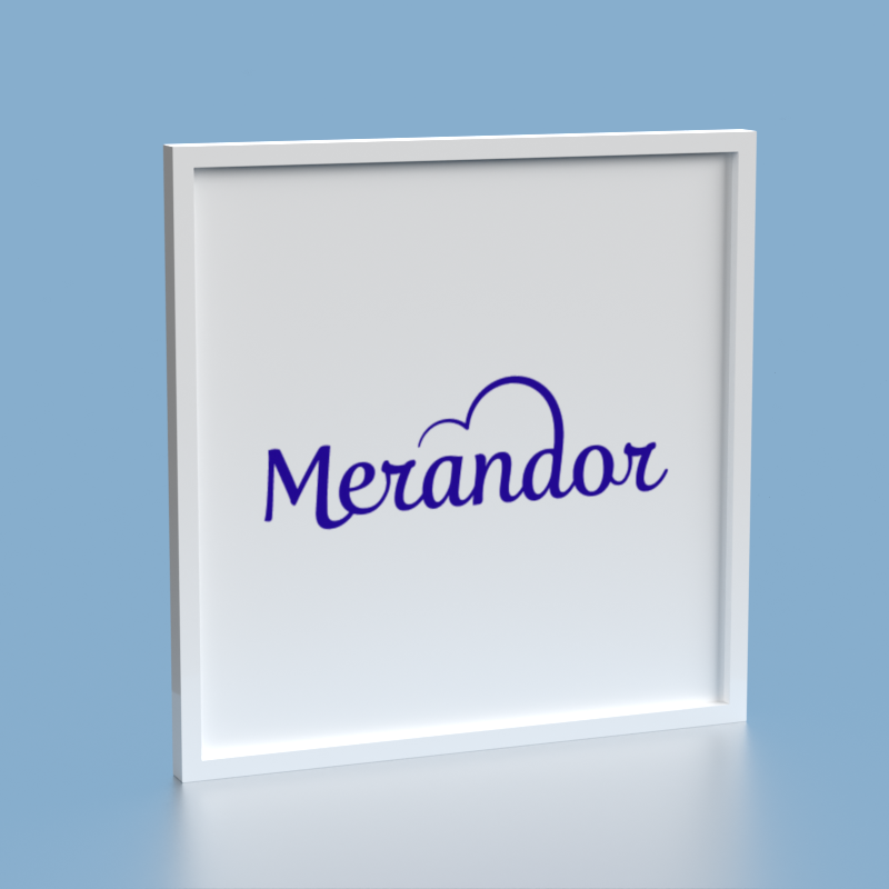 Merandor logo on white background