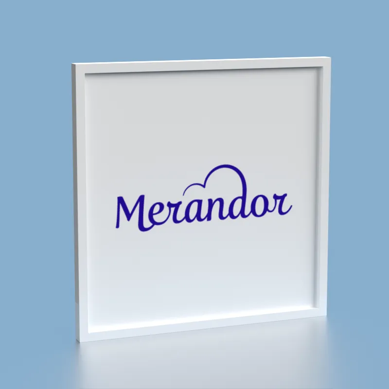 Merandor logo on white background
