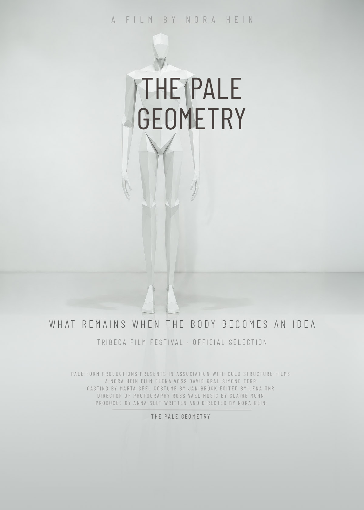 The Pale Geometry horror film poster design — cerebral body horror