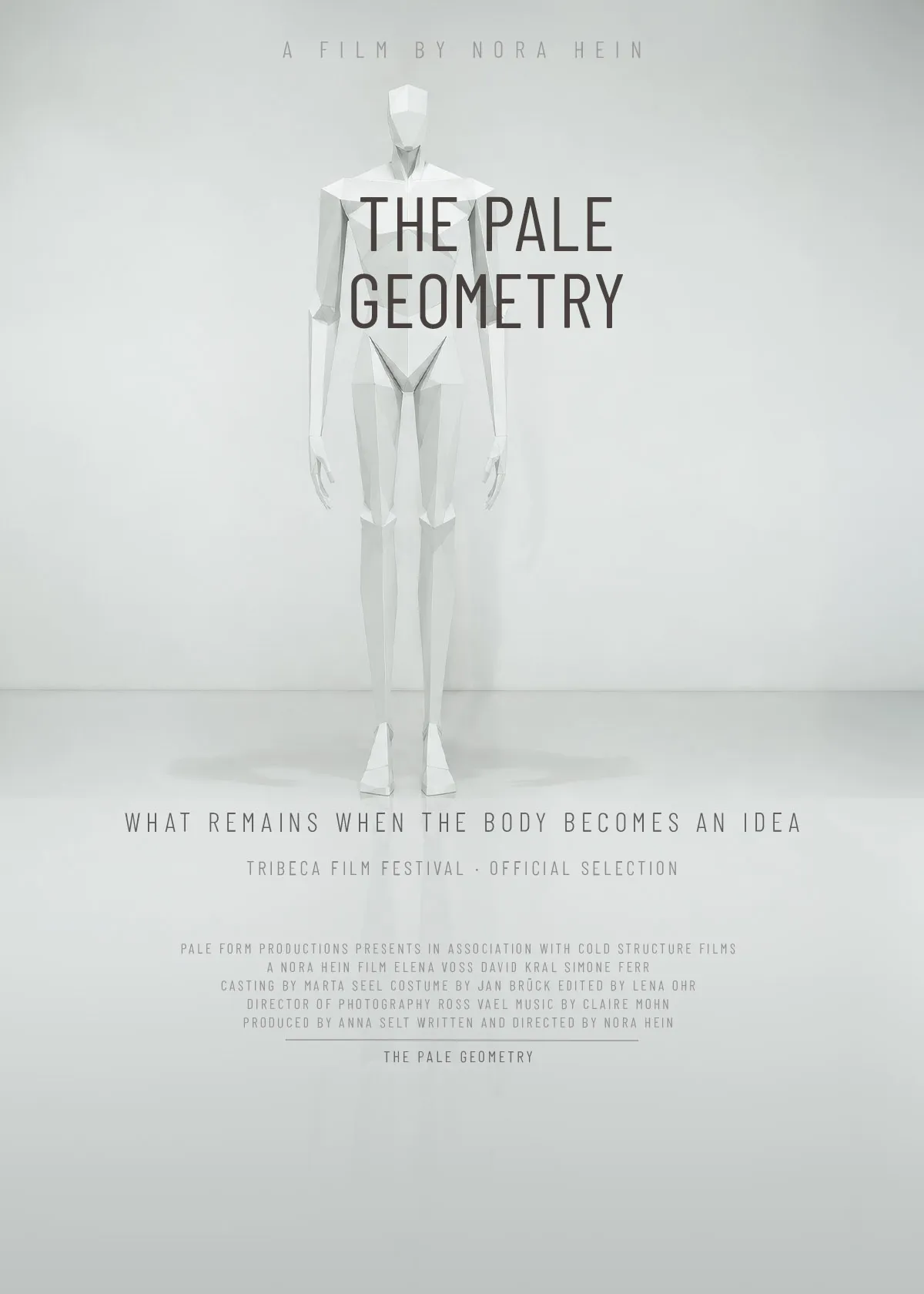 The Pale Geometry horror film poster design — cerebral body horror