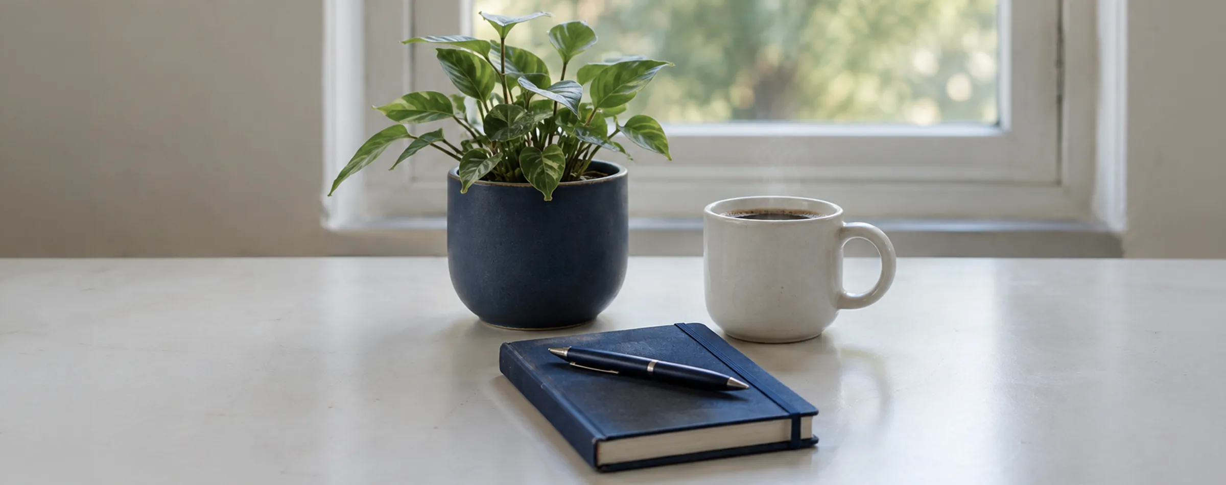 A white desk by a bright window with a small potted plant, a white mug of coffee and a navy notebook with a pen resting on it