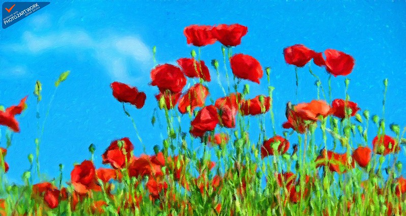 Photo of Climate Activist Sign