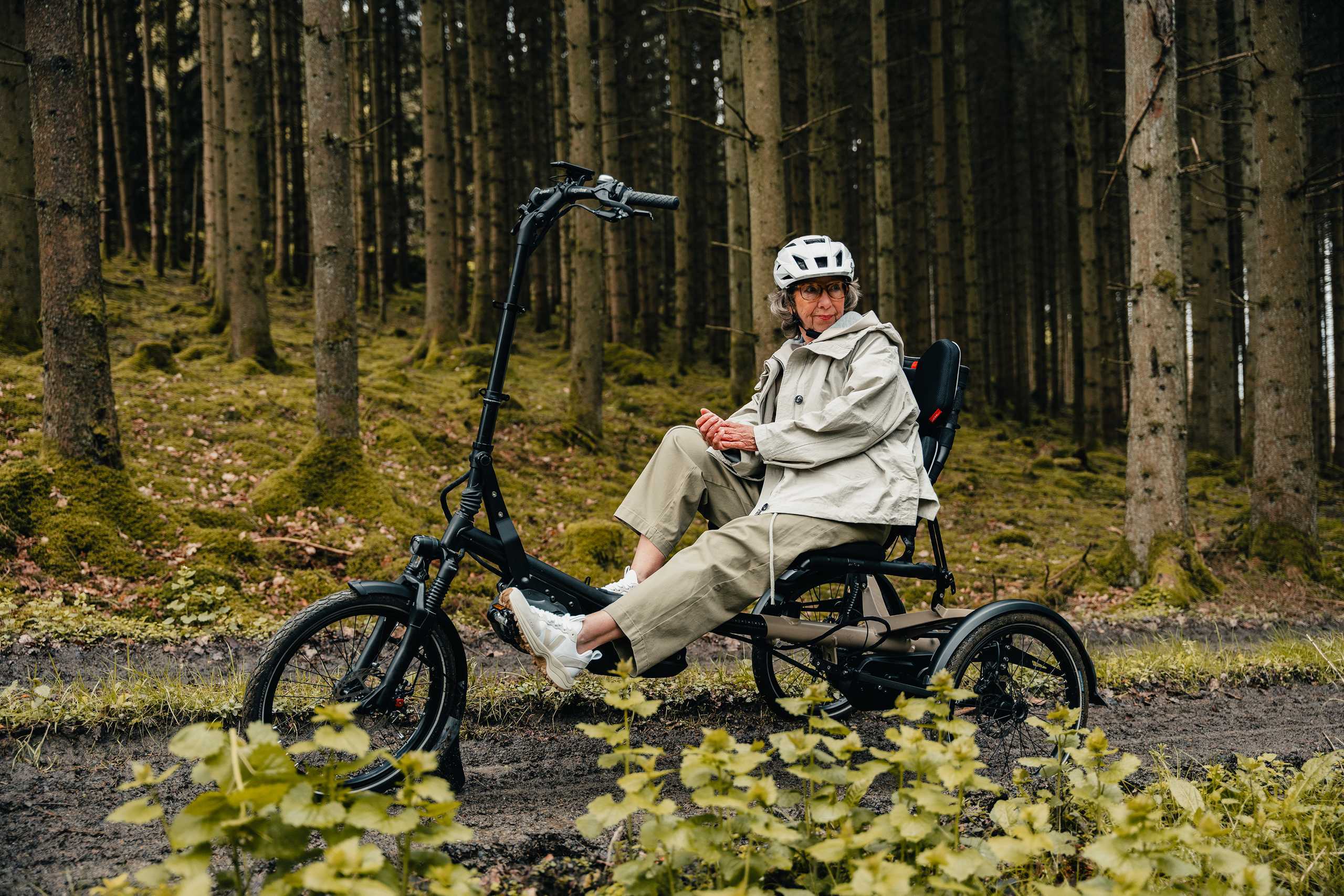 Bild von Kettwiesel Mountain E-Dreirad