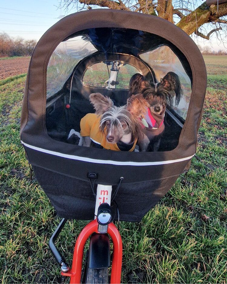 Bild von Muli EU Cargo Bike Erfahrung mit zwei Hunden in Frankfurt und Rehin-Main.