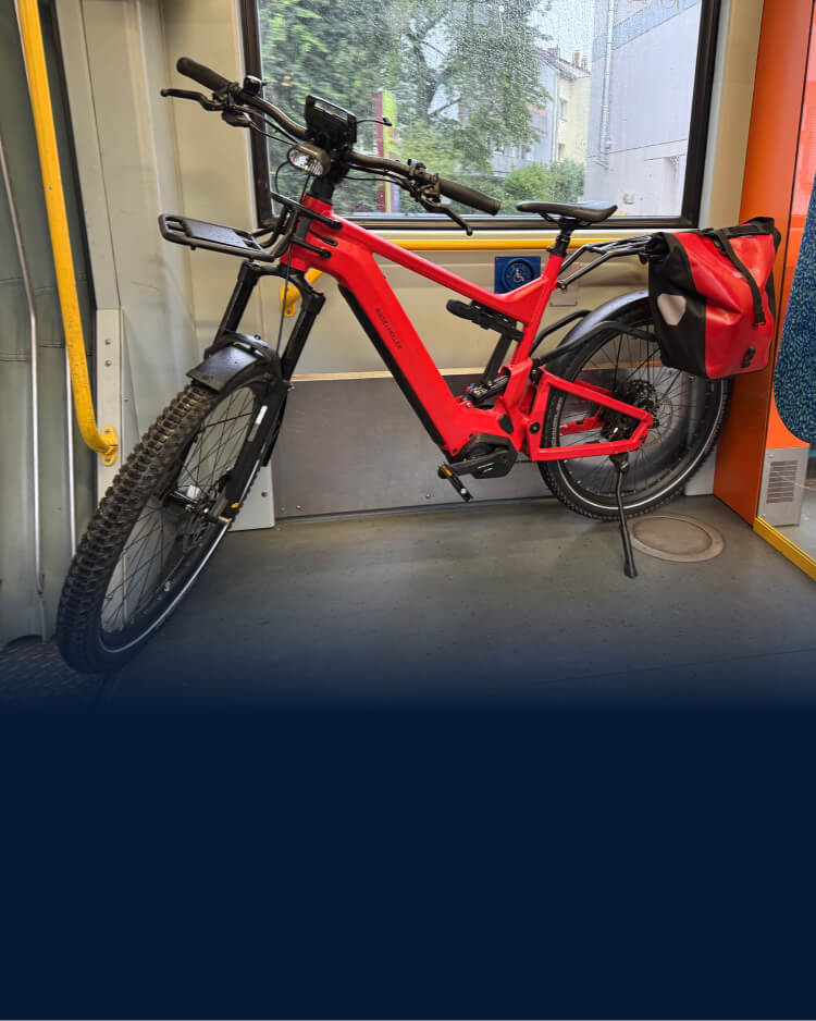 Leichtes E-Bike in Frankfurt am Main