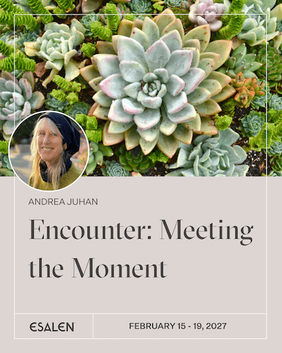 Encounter: Meeting the Moment | Feb 15 - Feb 19, 2027 with Andrea Juhan