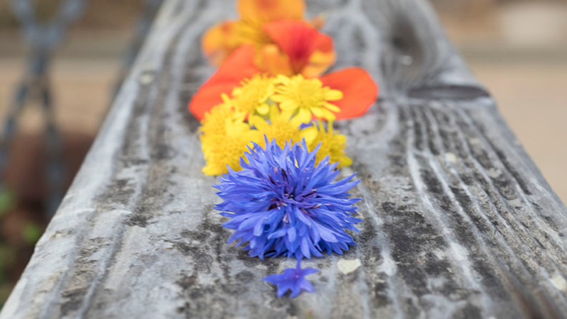 Reawaken Creative Process