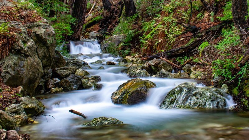 Imagination: Exploring Your Inner World for an Extraordinary Life