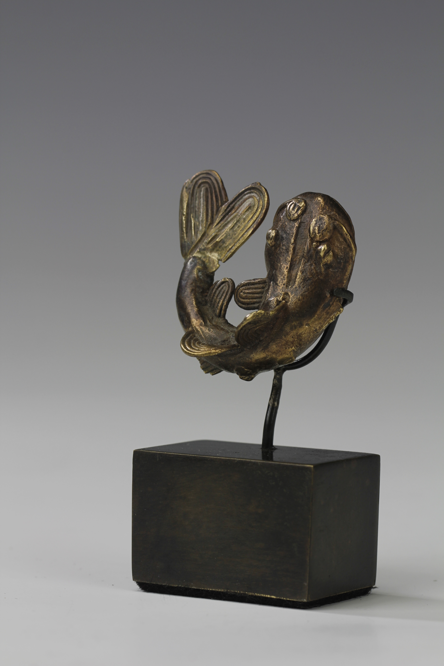 FINE FISH GOLD WEIGHT 19th Century. AKAN, GHANA 