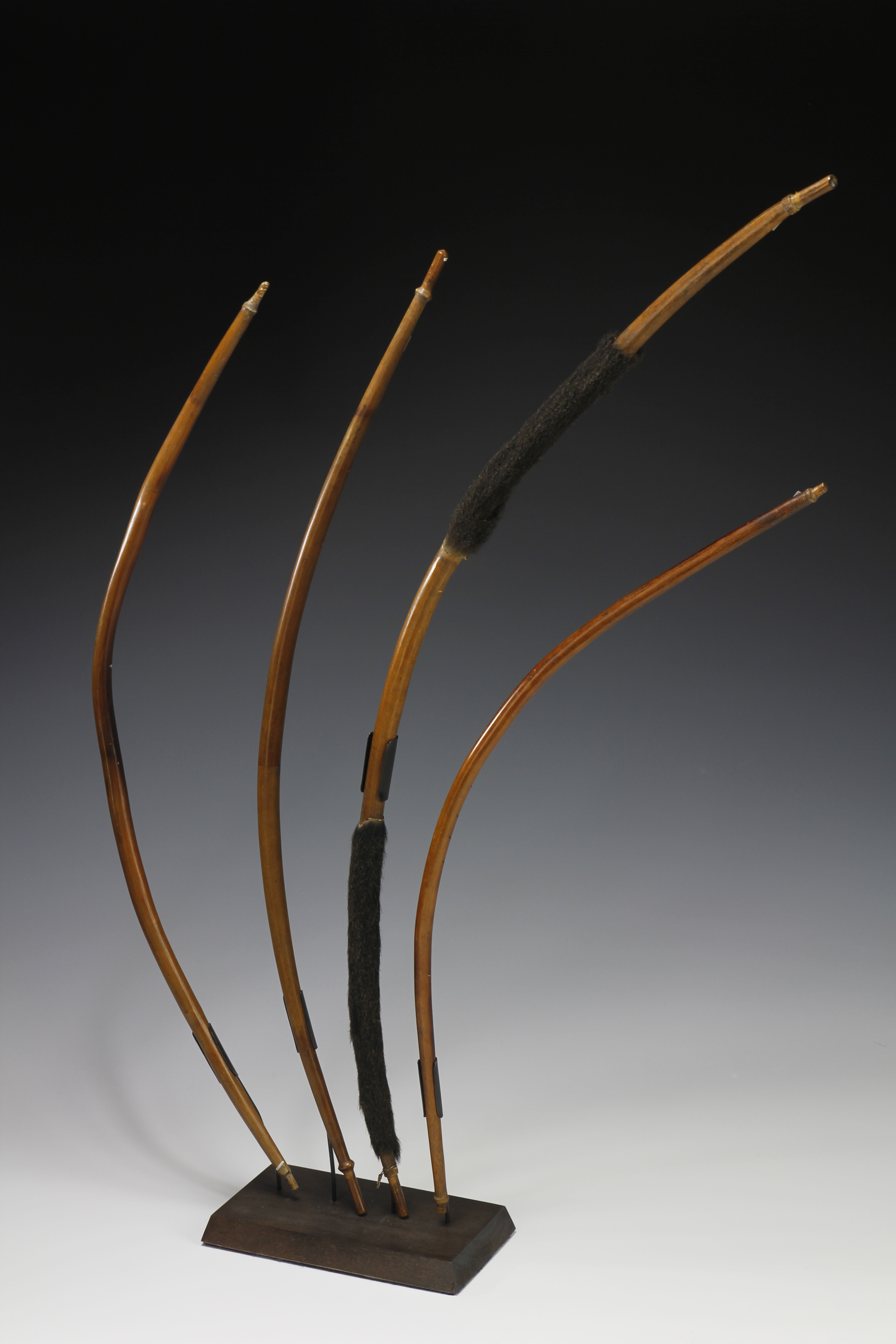 RARE GROUP OF FOUR HUNTING BOWS. PYGMIE?, DRC