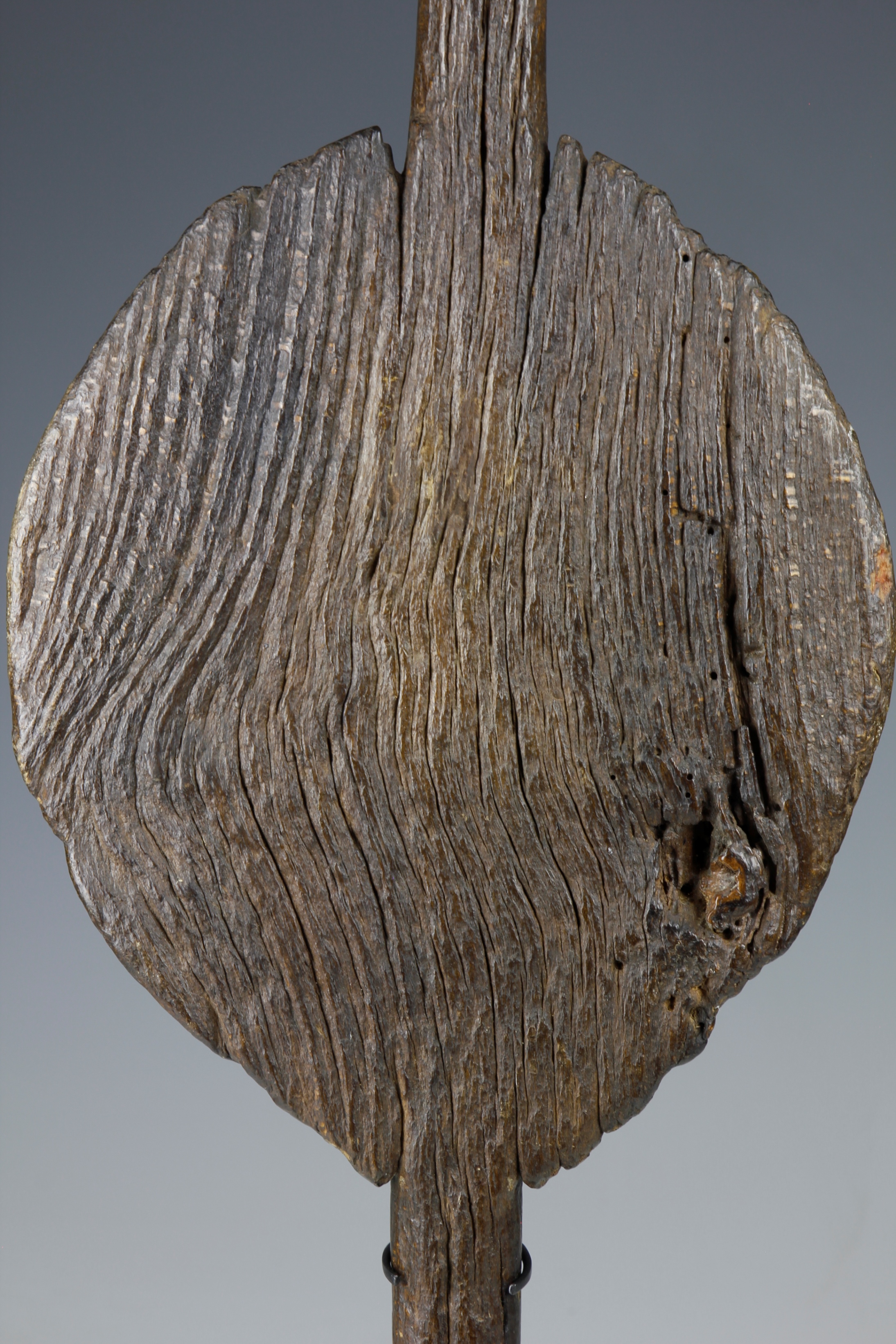 PARRYING SHIELD WITH BEAUTIFUL WEATHERED SURFACE. SOUTHERN SUDAN