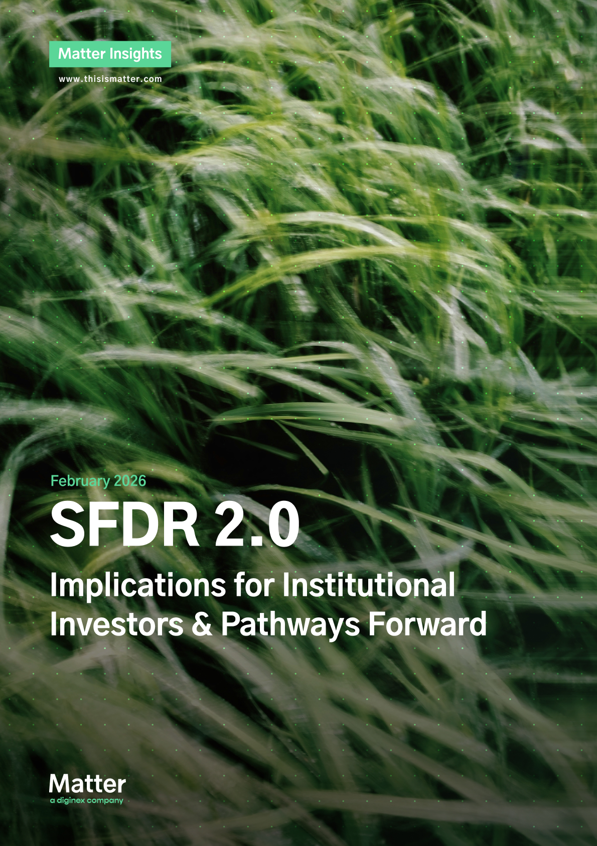 SFDR 2.0: Implications for Institutional Investors and Pathways Forward