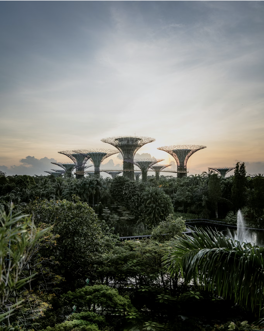 Webinar Insights - Preparing for Monetary Authority of Singapore Transition Planning Guidelines for Asset Managers