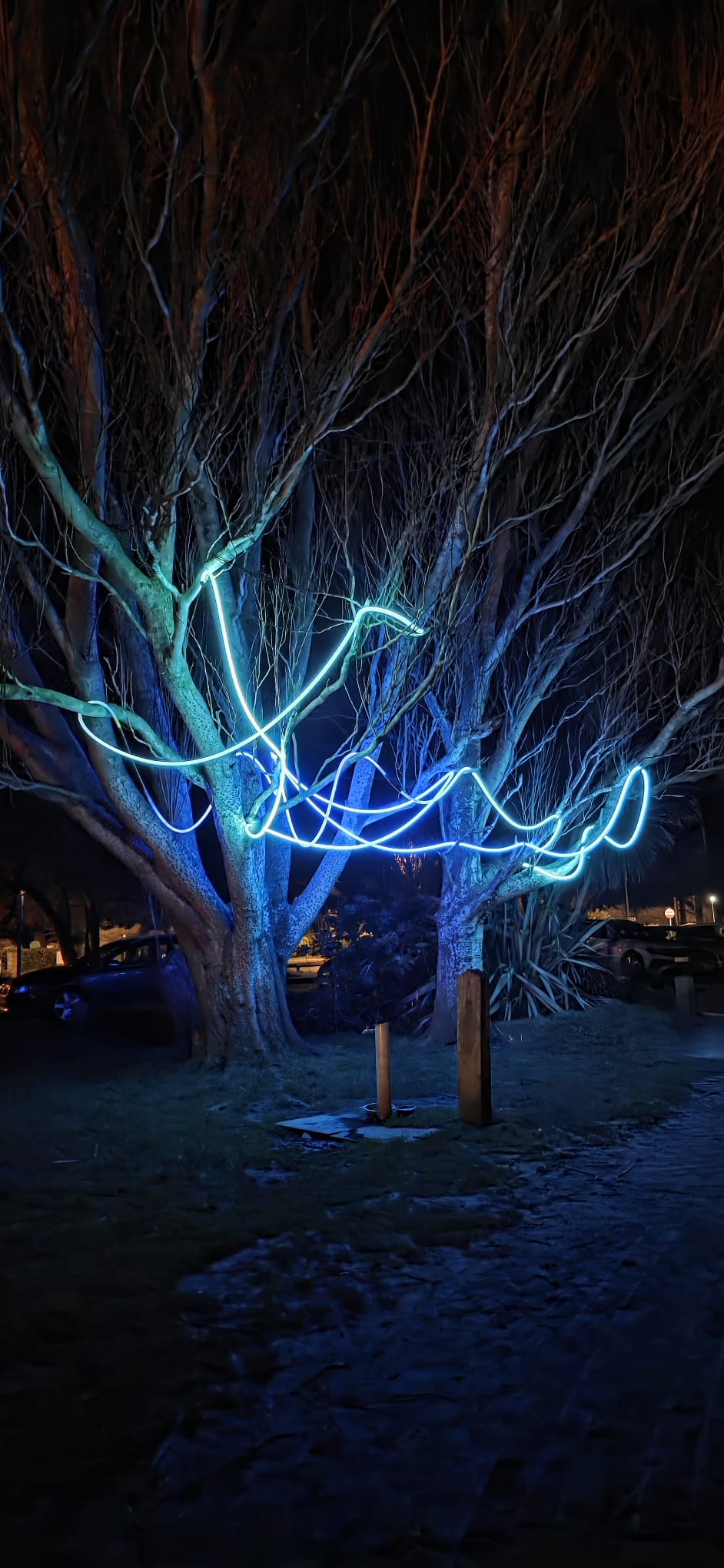 Outdoor lighting installation project