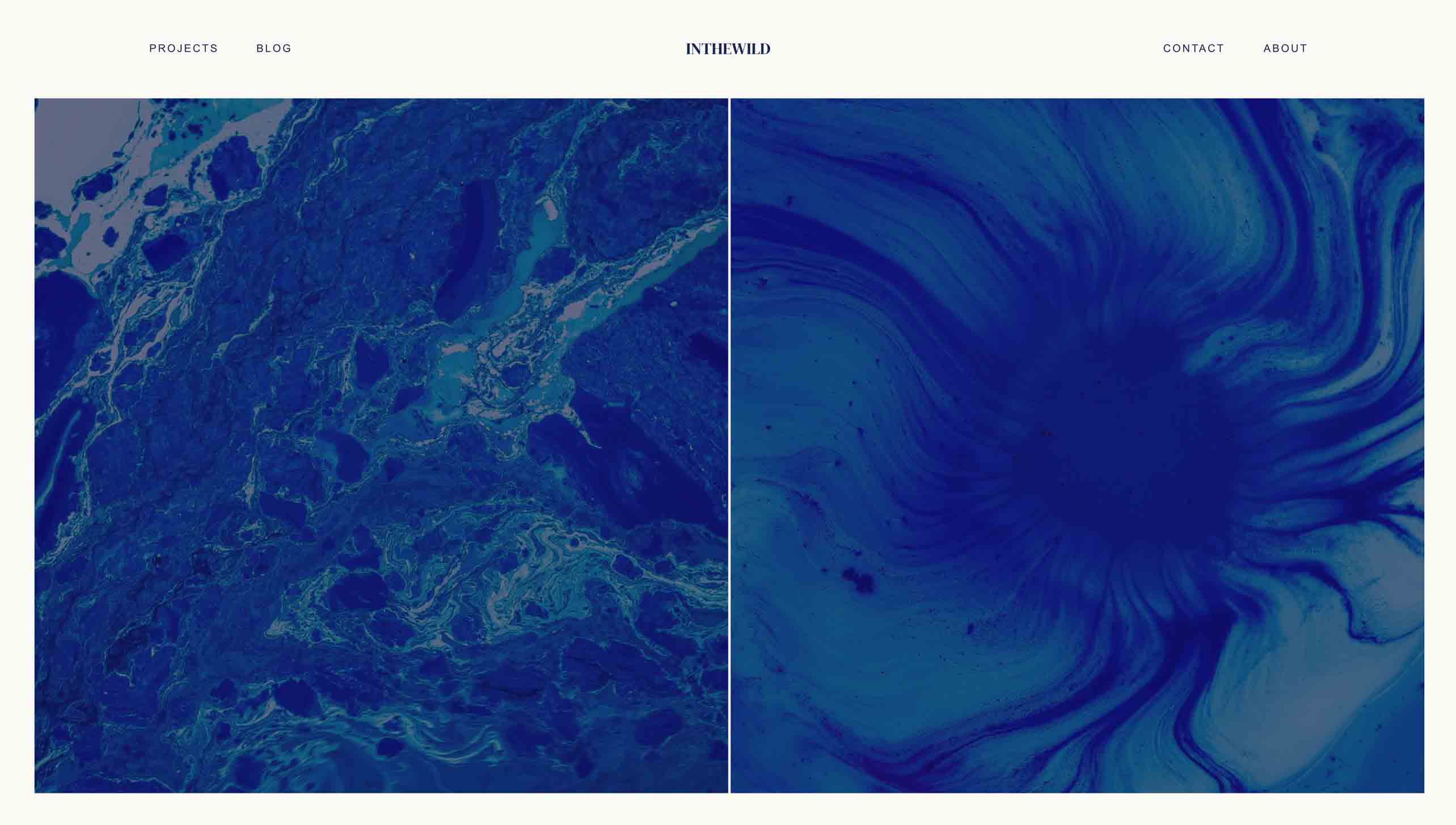 Screenshot of an art site.