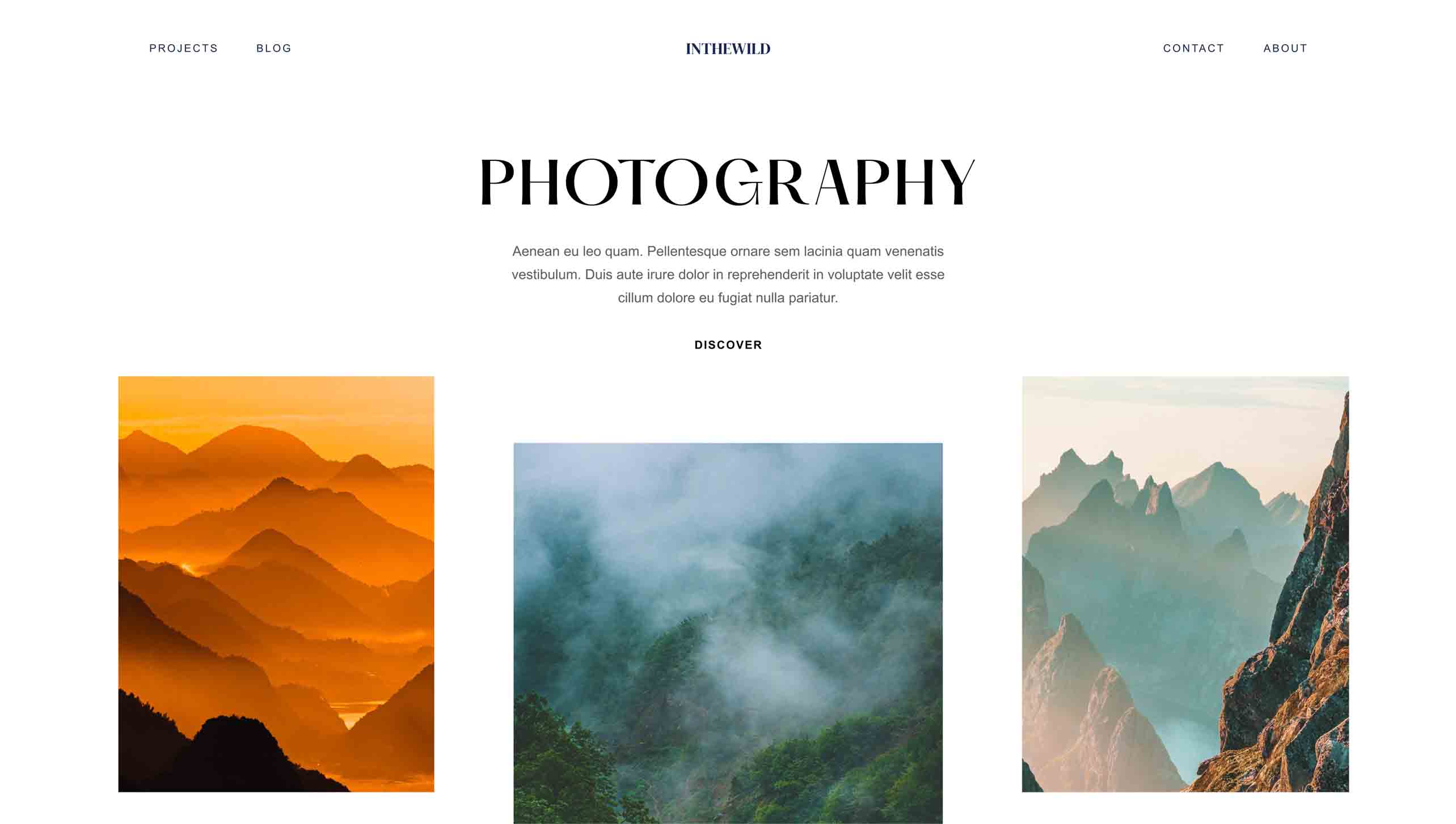 Screenshot of a photography site.