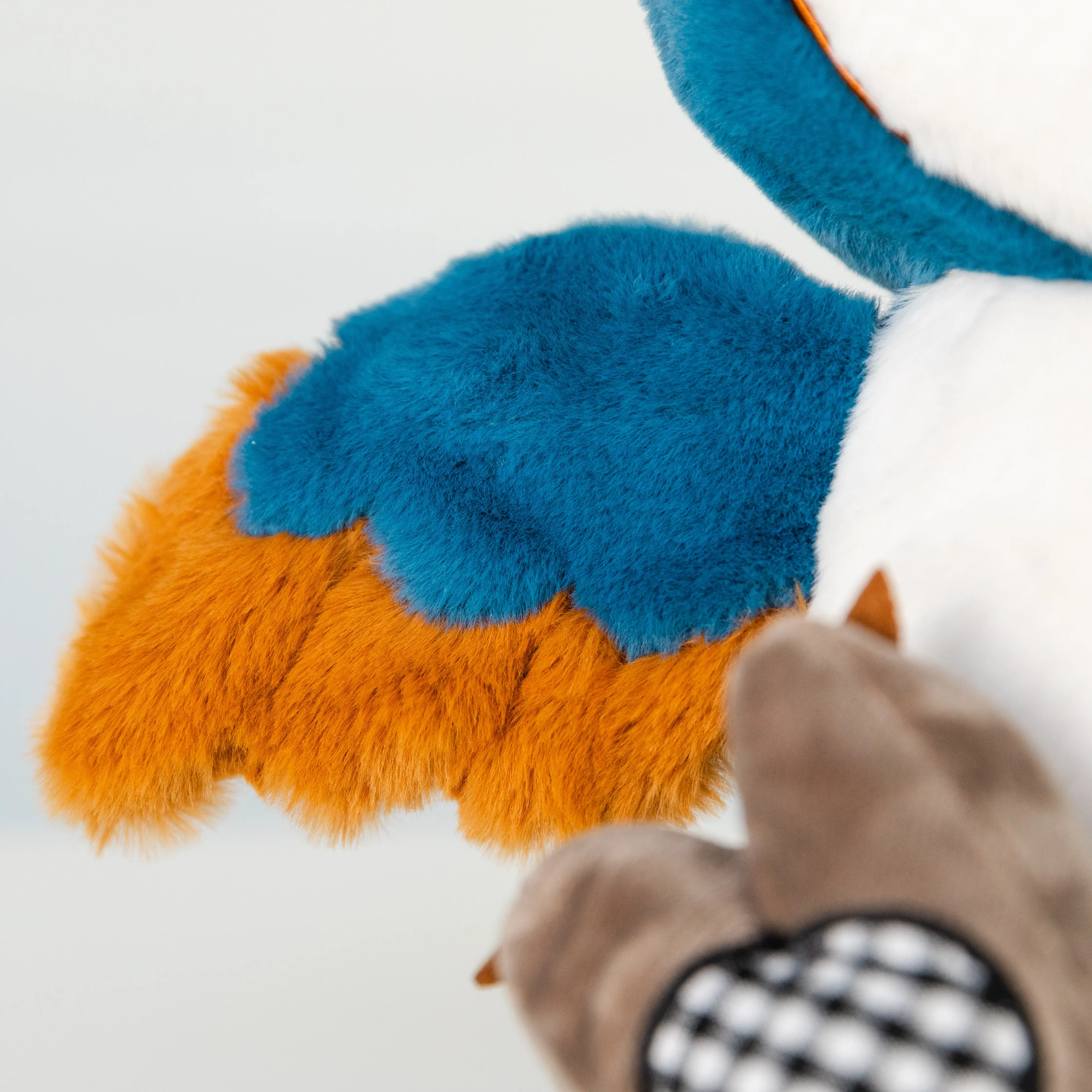 Barn Owl Night - wing view