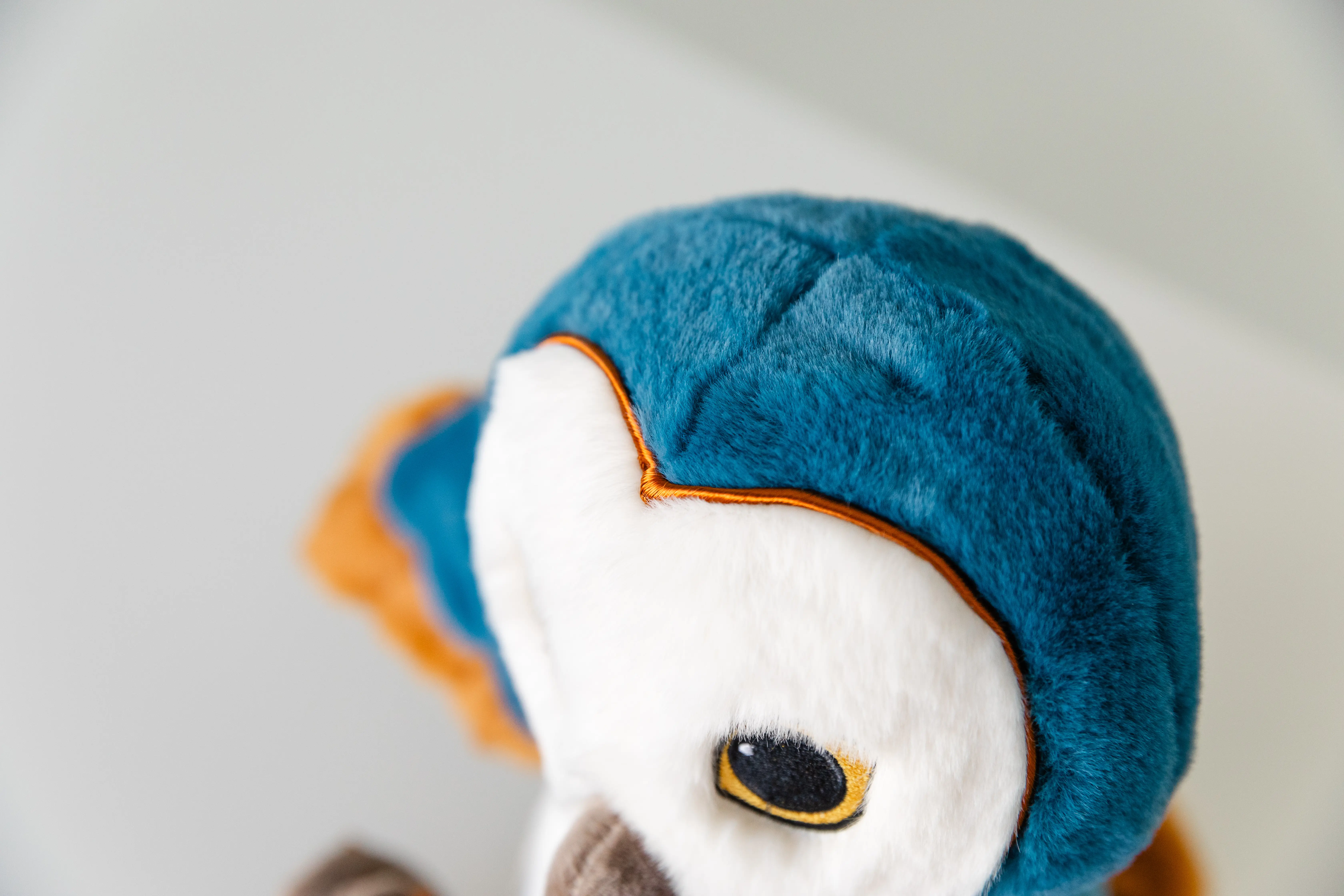 Barn Owl Night - head view