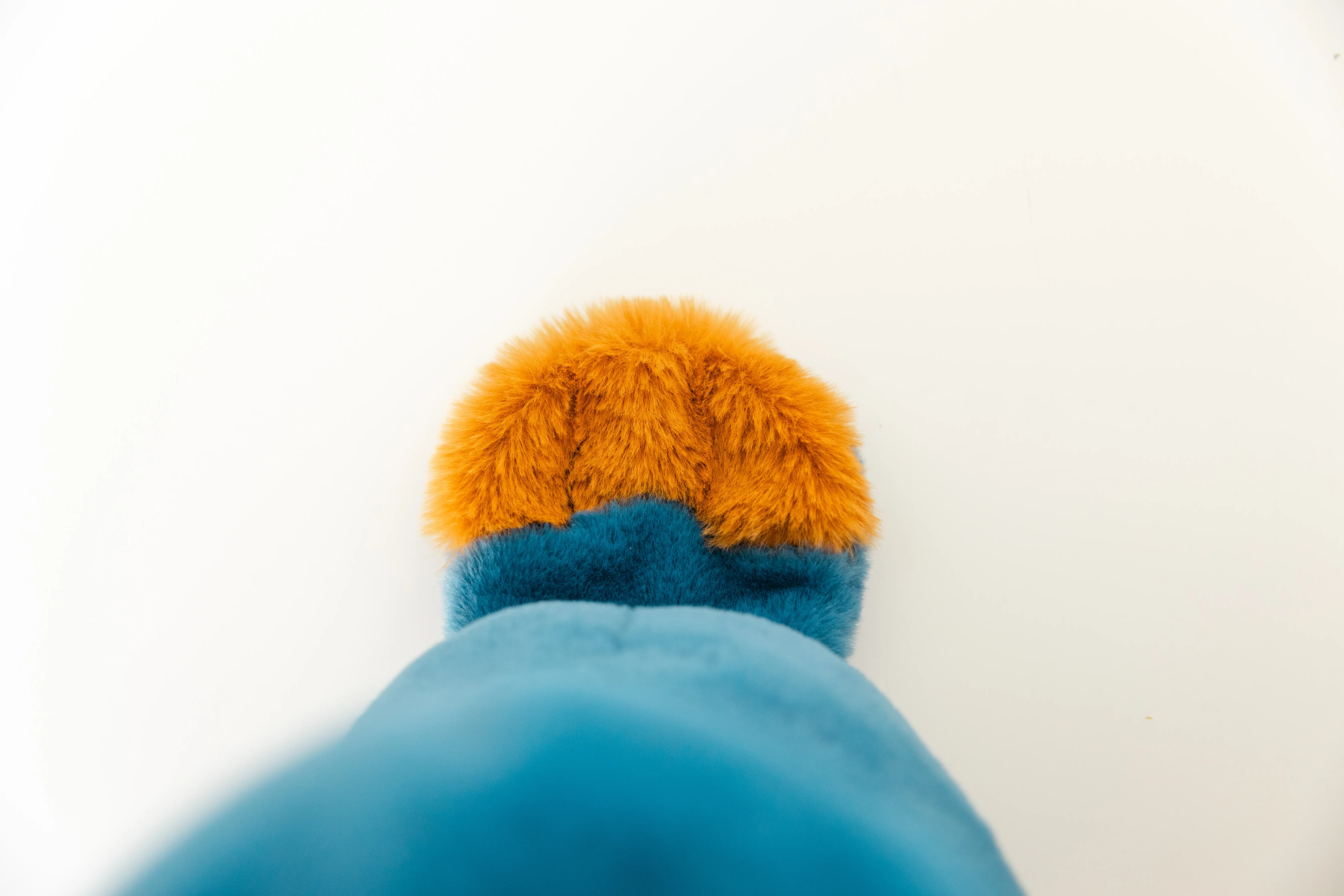 Barn Owl Night - tail