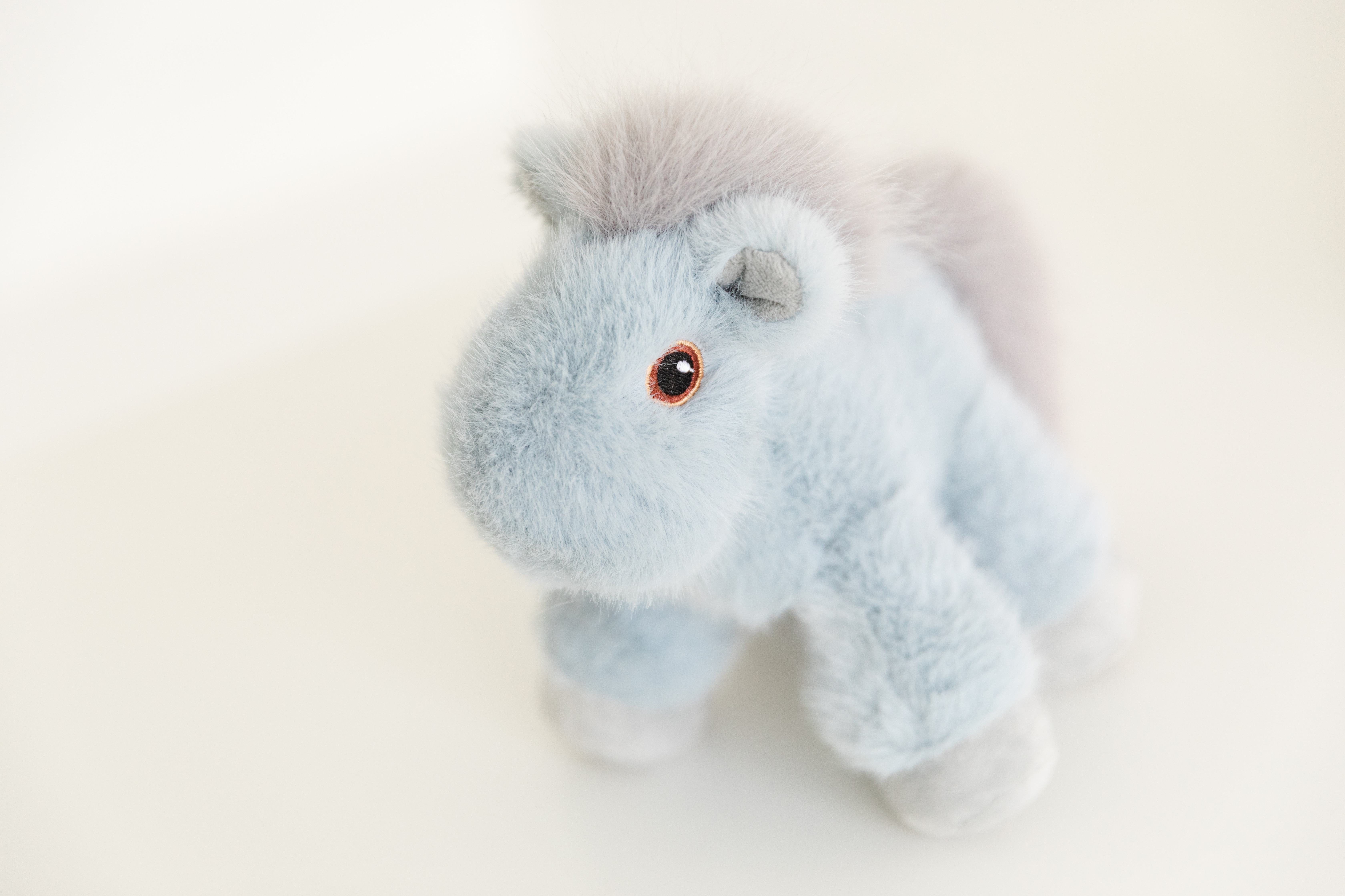 Mini Horse