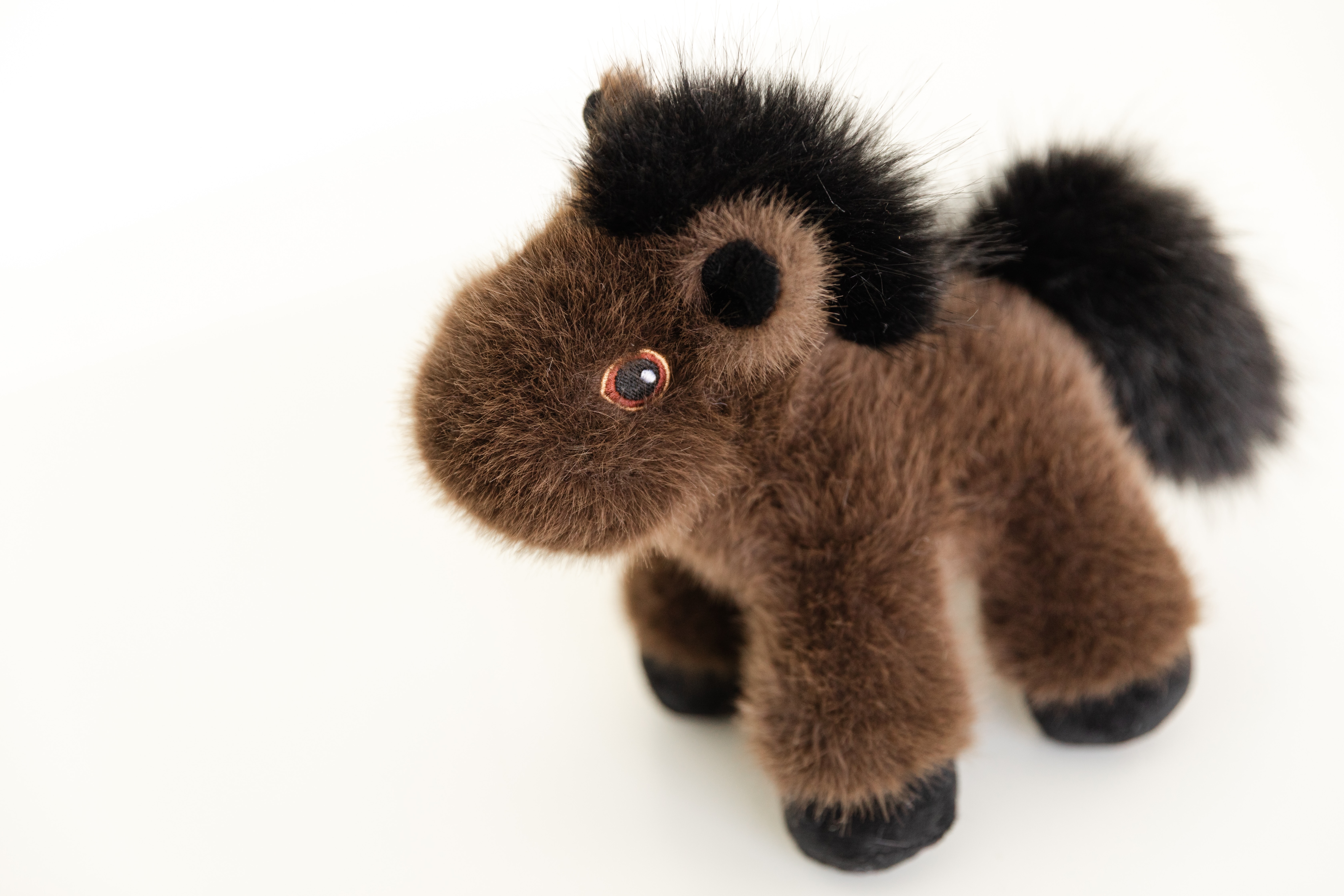 Mini Horse