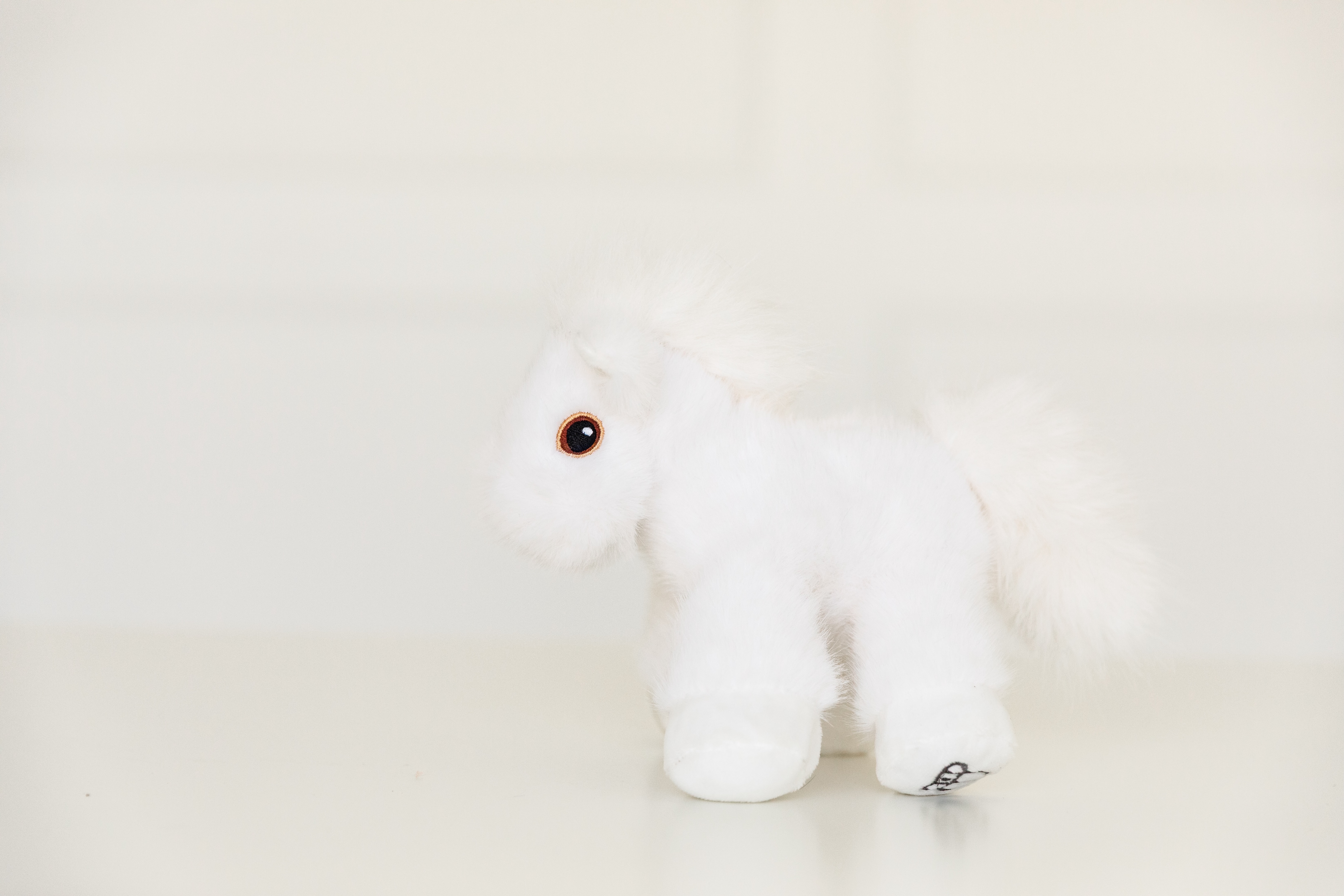 Mini Horse