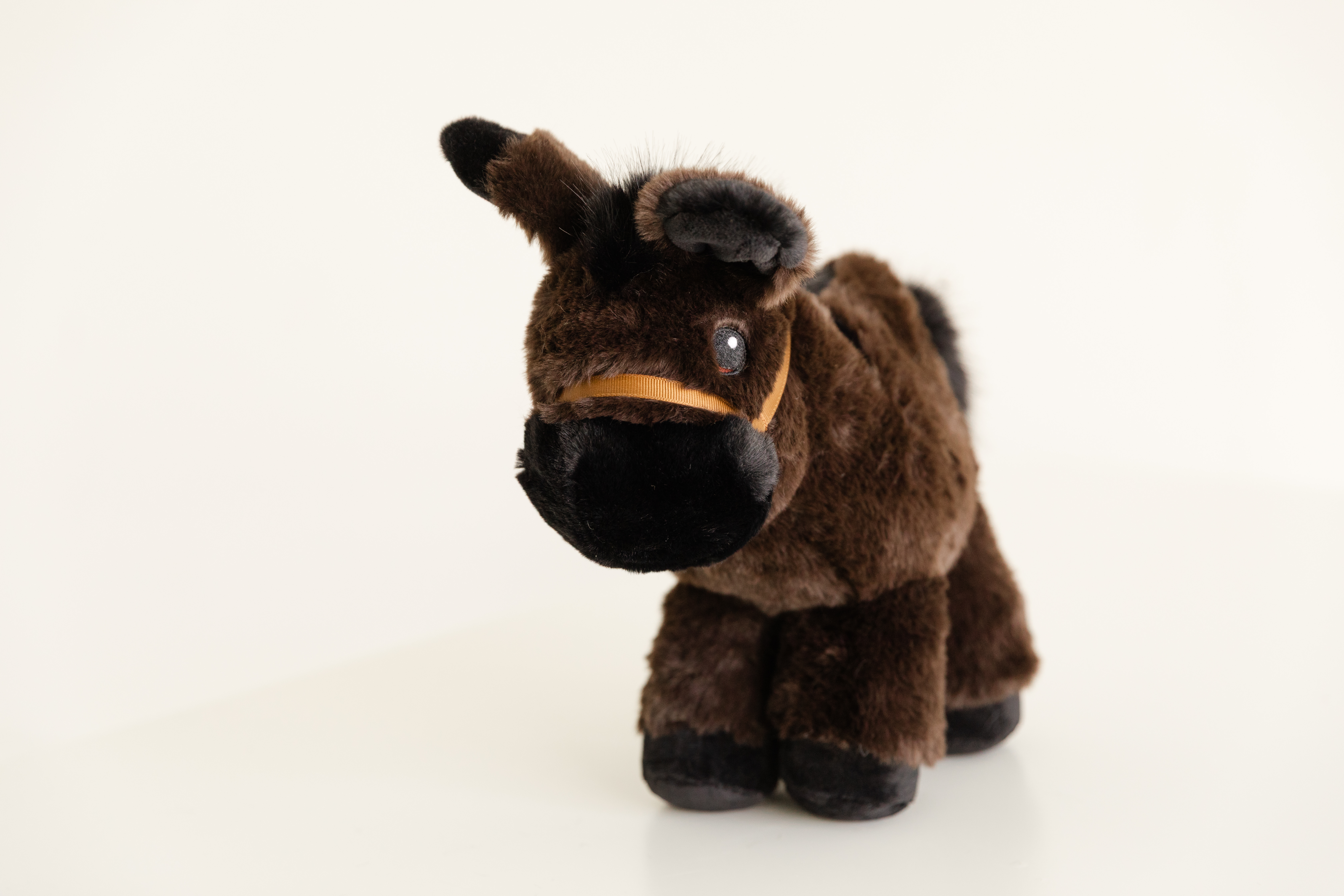 Donkey