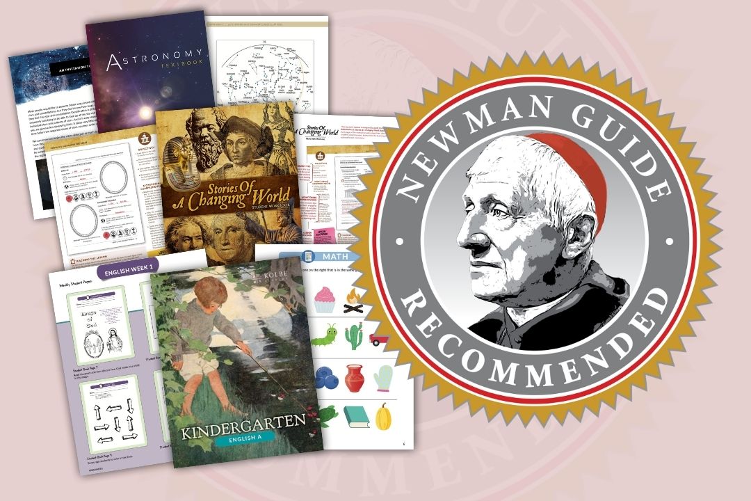 High school student writes notes from a textbook