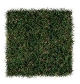 SportsGrass® Edge XP