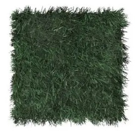 SportsGrass® Rush XP
