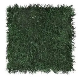 SportsGrass® Rush