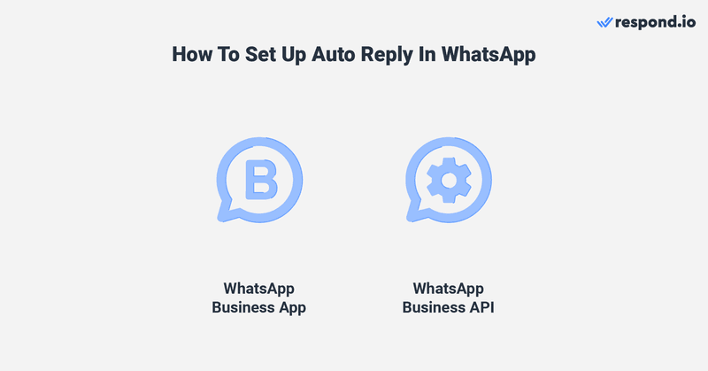 How to set up auto reply in WhatsApp