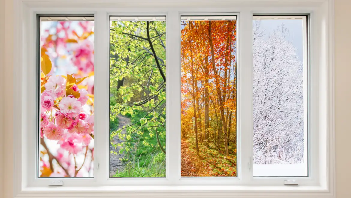 What is the Best Season for a Window or Door Renovation in San Diego