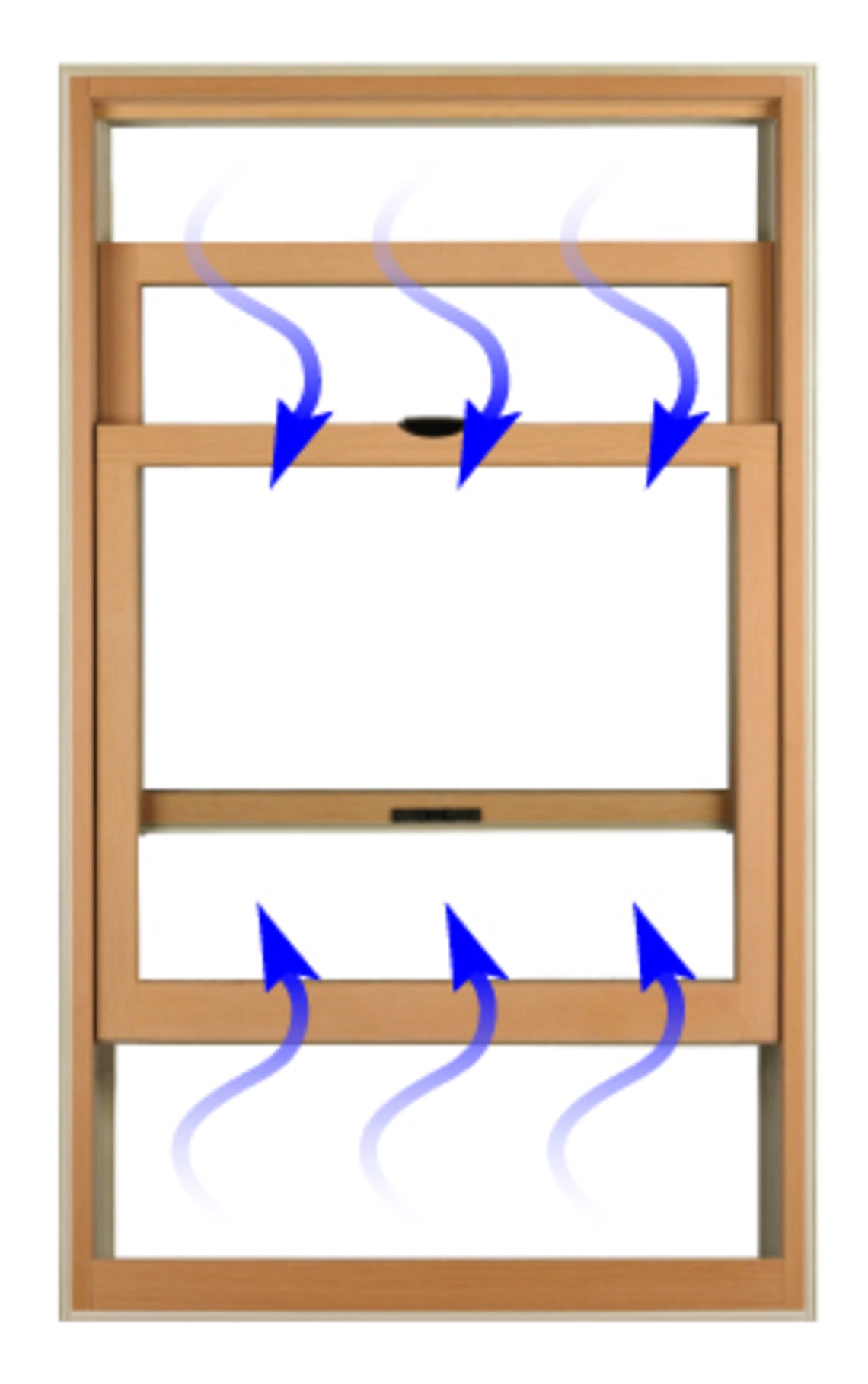 Double Hung Window Air-Ventilation Drawing
