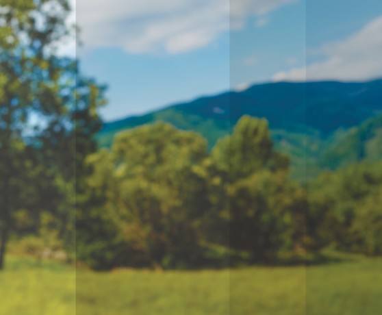 Image of Various Milgard Window Tints