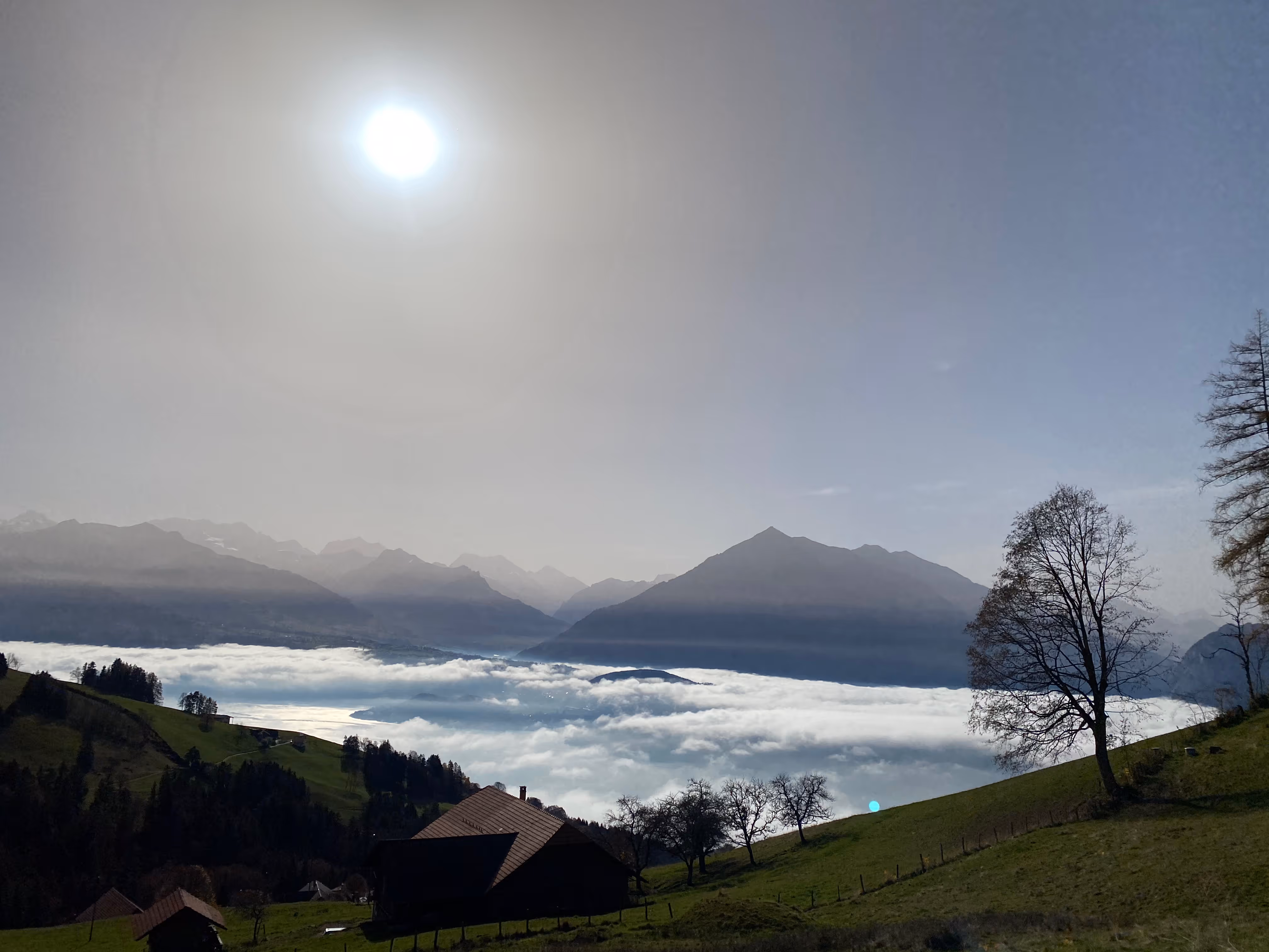 Lac de Thoune avec le soleil